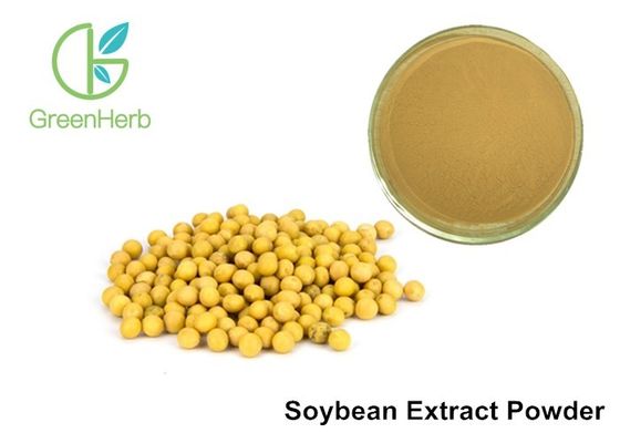 Ingrediente natural do extrato dos Isoflavones da soja do pó 40% do extrato da planta da pureza alta