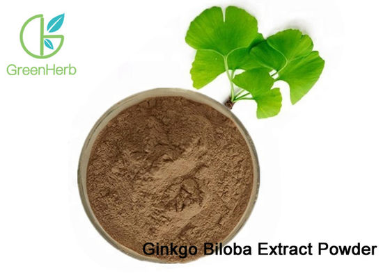 O pó natural do extrato da folha de Biloba da nogueira-do-Japão de 100% dilata-se vasos sanguíneos